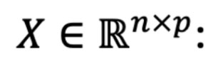 rr-2025-04-romoff-form-X.jpg